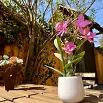 Unique Near Tivoli 公寓