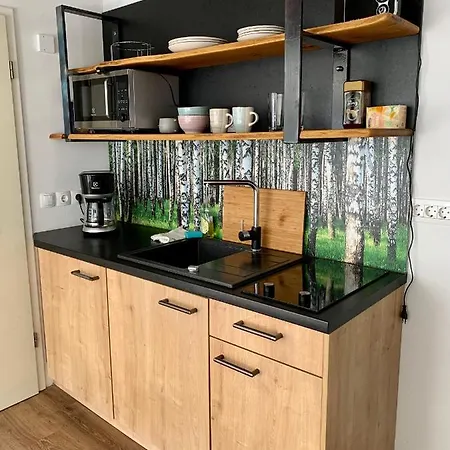 Unique Near Tivoli アパート リュブリャナ