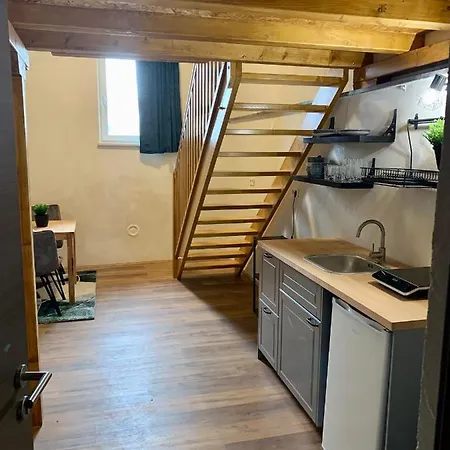 アパート Unique Near Tivoli リュブリャナ