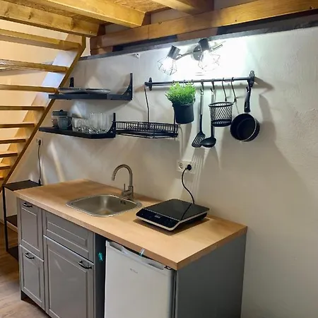 Unique Near Tivoli アパート リュブリャナ